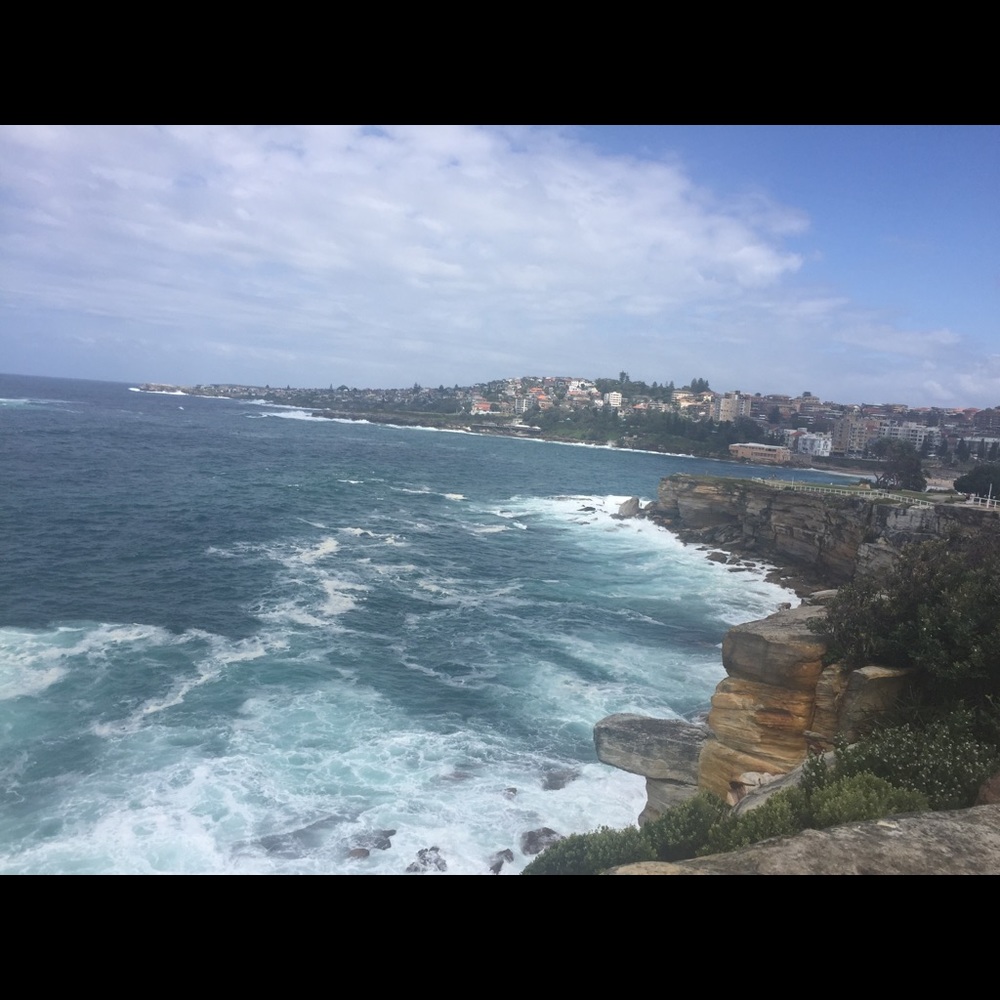 Meet your Posher, Leo